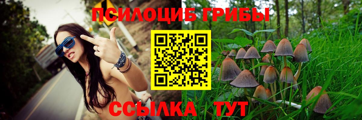 Галлюциногенные грибы мухоморы Кашира