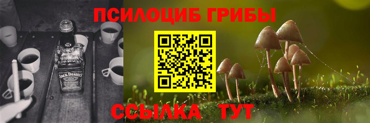 Псилоцибиновые грибы прущие грибы  Вход с VPN  Кашира 
